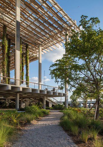 Pérez Art Museum Miami, Herzorg & De Meuron Art Museum Architecture, Miami Pictures, Perez Art Museum, Geometric Architecture, Museum Architecture, Design Innovation, Sustainable Architecture, Contemporary Landscape, Landscape Architect