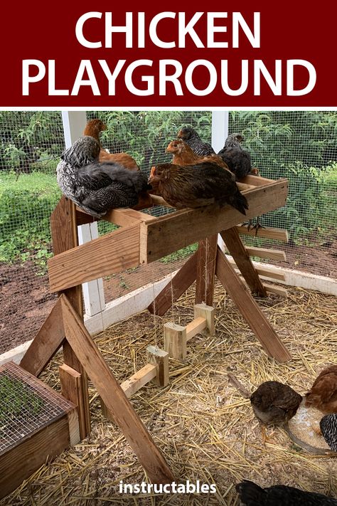 Chicken Yard Toys, Chicken Climbing Ideas, Chicnic Table Diy, Diy Chicken Playground, Chicken Run Activities, Chicken Run Playground, Chicken Playground Ideas Diy, Chicken Playground Ideas, Chicken Toys For Coop