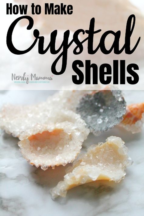 Although this is a little more science-ey than I normally can manage, we figured out How to Make Crystal Shells and the kids are now beside themselves with glee. #nerdymammablog #crystal Crystal Shells, Science Crafts For Kids, Science Experiments Kids Preschool, How To Make Crystals, Science Crafts, Science Party, Kid Experiments, Kids Science, Science Activities For Kids