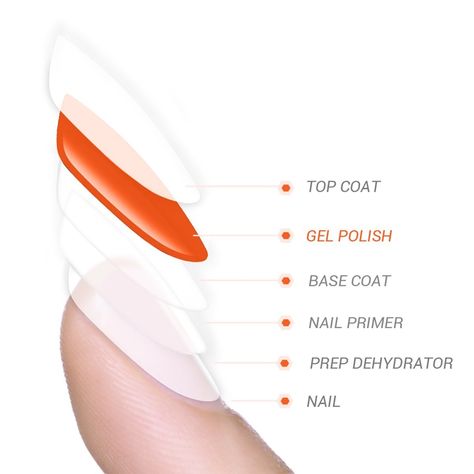 Nail Painting Tips, Nail Dehydrator, Gel Application, Nail Base, Gel Nail Removal, Nail Tutorial Videos, Business Nails, Acrylic Nails At Home, Nail Primer