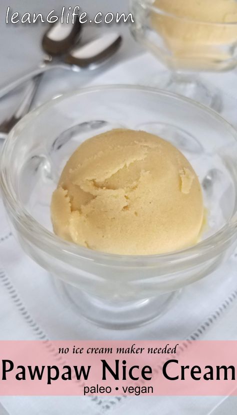 Capture the wild flavors of pawpaw fruit in this simple nice cream. Only four ingredients, no ice cream maker  needed! Pawpaw Ice Cream, Pawpaw Recipes, Hazelnut Milk, Nice Cream Recipe, Vegan Ice Cream Recipe, Fruit Benefits, Homemade Ice Cream Recipes, Egg Free Recipes, Vegan Ice Cream