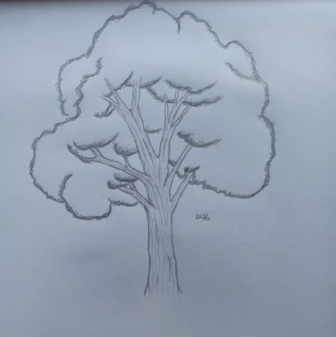 Tree Drawings Pencil Simple, Big Tree Drawing Easy, Easy Tree Sketch, Easy Forest Sketch, Easy Plant Sketches, Easy Tree Drawing Step By Step, Fallen Tree Drawing, Forest Tree Drawing, Tree Sketches Simple