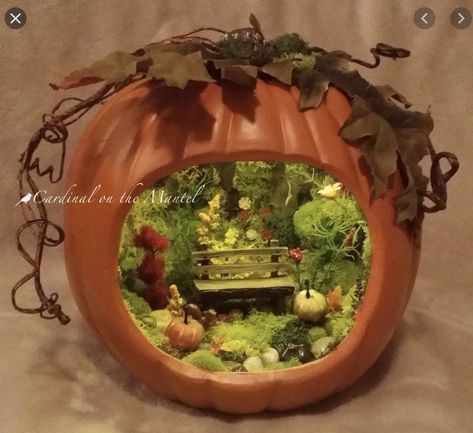 Pumpkin Fairy Garden, Pumpkin Diaramas, Fairy Garden Pumpkin, Pumpkin Houses, Fairy Pumpkin, Pumpkin Diorama, Pumpkin Fairy House, Pumpkin Fairy, Halloween Fairy Garden