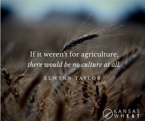 "If it weren't for agriculture, there would be no culture at all." Ffa Quotes Inspirational, Agriculture Sayings, Agriculture Quotes Inspiration, Farming Quotes Inspirational, Women In Agriculture Quotes, Quotes About Agriculture, Farming Quotes Agriculture, Farm Quotes Agriculture, Farmer Quote