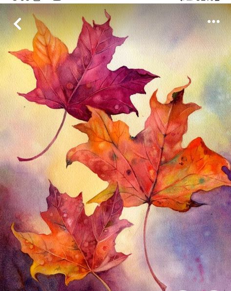 Leaves Drawing Watercolor, Watercolor Maple Leaves, Paintings Of Fall Leaves, Maple Leaves Painting, Maple Leaf Watercolor Paintings, Autumn Maple Leaves, Fall Leaves Watercolor Paintings, Watercolour Autumn Leaves, Watercolor Fall Flowers