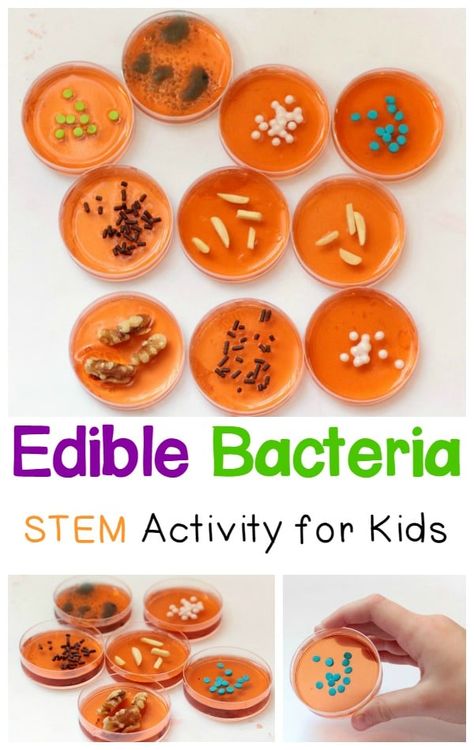 Biology Party, Wacky Science, Halloween Stem Activities, Candy Experiments, Oppgaver For Barn, Science Birthday Party Ideas, Steam Kids, Science Experience, Fall Science