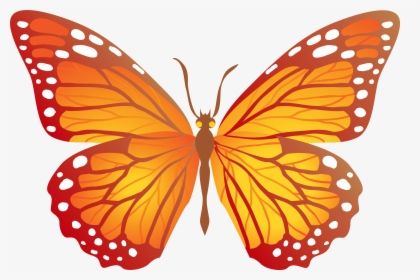 Butterflies Png, Drawing Butterfly, Yellow Png, Transparent Png, Png Image, Png Images, Butterflies, Orange, Yellow