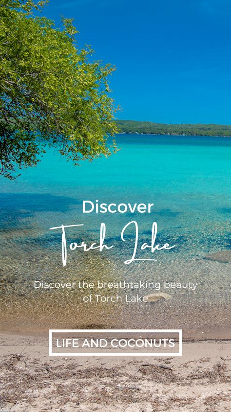 Discover the breathtaking beauty of Torch Lake, Michigan's hidden gem. Immerse yourself in its crystal-clear waters, enjoy thrilling water sports, and witness captivating sunsets. A tranquil paradise for nature lovers and adventure seekers alike. #TorchLake #Michigan #NatureLovers Torch Lake Michigan, Gardening Photography, Torch Lake, Michigan Road Trip, Lions Photos, Scenic Road Trip, Michigan Travel, Vacation Usa, Image Ideas