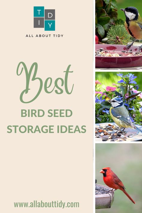 Best bird seed storage ideas Bird Food Storage Ideas, Bird Seed Storage, Tidy Tips, Easy Bird, Seed Storage, Storage Tips, Diy Store, Bird Food, Bird Seed