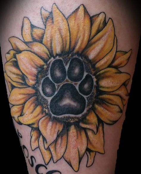 Cocoa Tattoo, Sunflower Forearm Tattoo Women, Dog Paw Sunflower Tattoo, Sunflowers Tattoo Ideas, Sunflower And Paw Print Tattoo, Paw Print Flower Tattoo, Paw Print Sunflower Tattoo, Sunflower With Paw Print Tattoo, Sunflower And Dog Paw Tattoo