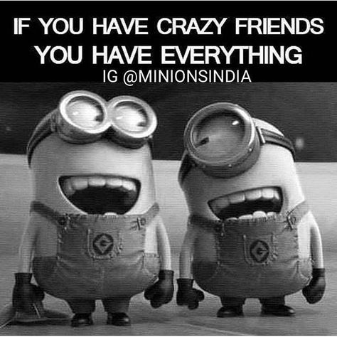 If You Have Crazy Friends, You Have Everything quotes quote friends friendship quotes minion minions minion quotes funny minion quotes minion quotes and sayings best minion quotes Minion Humour, True Friends Quotes, Motivation Positive, Best Friendship Quotes, Friendship Humor, Minion Quotes, Funny Minion Quotes, Friend Memes, Minions Quotes