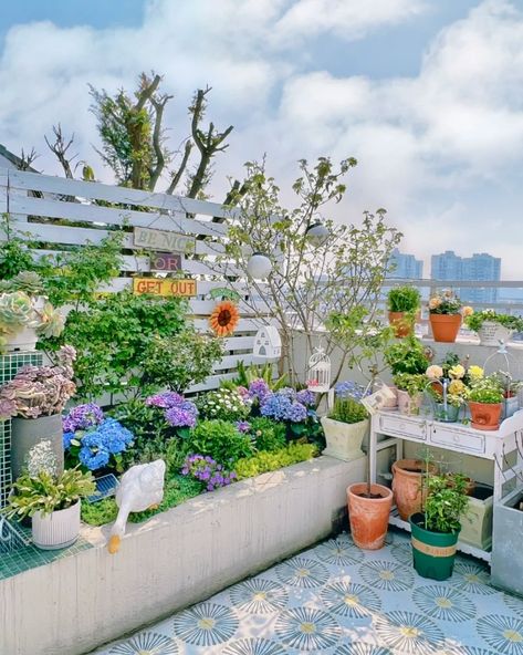 Aesthetic Balcony Garden, Korean Garden Aesthetic, Korean Garden Design, Gardening In Pots, Gardening Dress, Korean Garden, Border Garden, Garden Paradise, White Bedroom Design