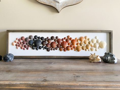 Seashell Collection Display, Driftwood And Shells Crafts, Ways To Display Seashells, Shell Display Ideas, Seashell Artwork, Seashell Display, Shell Artwork, Seashell Art Diy, Sea Shells Diy