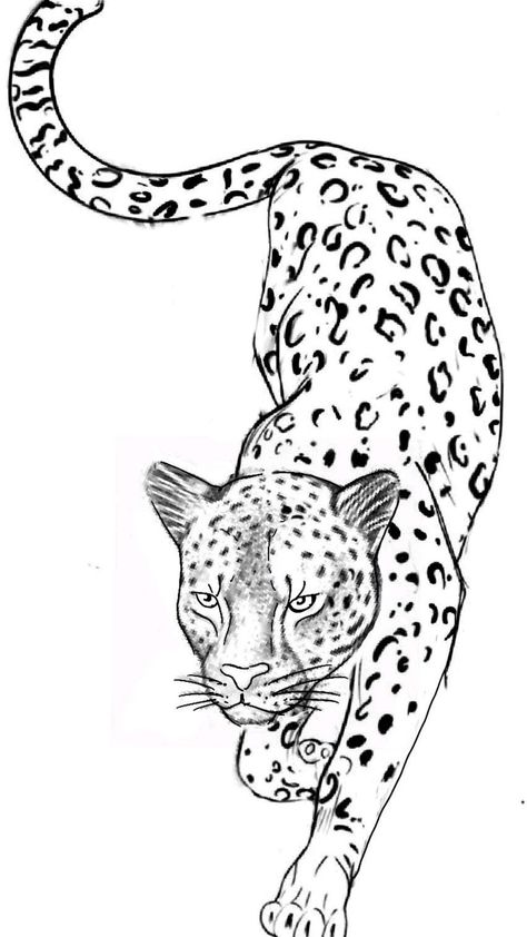 Leopard Tattoo On Thigh, Leopard Rib Tattoo, Leopard Tattoo Stencil, Jaguar Tattoo Stencil, Fine Line Leopard Tattoo, Big Tattoo Stencil, Patch Work Tattoos Women, Jaguar Stencil, Jaguar Tattoo For Women