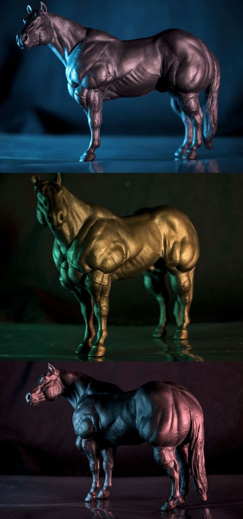 Horse Muscle Hypertrophy Study by Carlwoof Horse Muscles, Muscle Hypertrophy, Chest Muscles, Reference Drawing, Leg Muscles, Horse Art, Muscles, Creative Art, Lion Sculpture