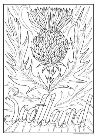 Thistle National Flower of Scotland Colouring Page Scottish Coloring Pages, Thistle Drawing Simple, Scotland Coloring Pages, Scotland Drawing, Thistle Crafts, Scottish Crafts, Thistle Painting, Scottish Thistle Tattoo, Burns Day