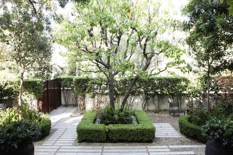 Lawn Free Landscaping, Pea Gravel Patio, Gravel Patio, Front Garden Landscape, Home Landscaping, Front Garden, Urban Garden, Small Garden, Yard Landscaping