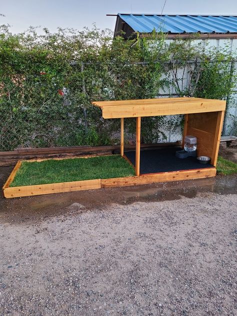 Dog Space In Garage, Balcony Dog Area, Stray Dog Shelter Ideas Outdoor, Outdoor Dog Spaces, Balcony Potty Area For Dogs, Shade For Dogs, Apartment Patio Dog Potty, Dog Pen Outdoor, Kid And Dog Friendly Back Yard