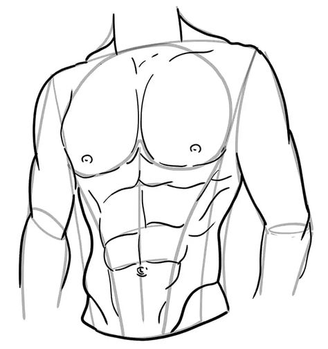 Abs Drawing - Create a Muscular Drawing of Abs Men's Body Drawing, Six Pack Drawing Tutorial, Men With Abs Drawing, Six Pack Art Reference, Abs How To Draw, Six Packs Drawing, Abs Anime Guy Sketch, Muscular Body Sketch, Six Pack Drawing Reference