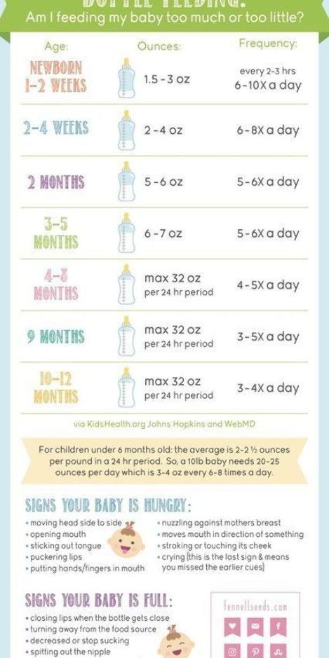 Bottle Feeding | Feeding Chart | How much formula | Formula amount | Formula feeding chart | How much to feed my baby Formula Feeding Chart, How Much Formula, Taking Care Of Baby, Baby Feeding Chart, Baby Corn, Baby Boy Ideas, Baby Feeding Schedule, Breastfeeding Foods, Formula Feeding