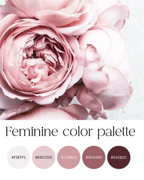 Peonies Color Palette, Brand Color Palette Feminine, Blush Pink Colour Palette, Rose Garden Color Palette, Beauty Salon Color Palette, Dusty Pink Colour Palette, Peony Color Palette, Coquette Color Palette, Pink Branding Color Palette