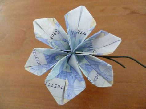 Geld vouwen; 20 voorbeelden van kaart tot bloem, vlinders of shirt. Voor bruiloft, verjaardag of andere gelegenheid. Gift Card Bouquet, Wedding Gift Money, Money Flowers, Money Bouquet, Money Notes, Creative Money Gifts, Folding Origami, Diy Presents, Money Gift