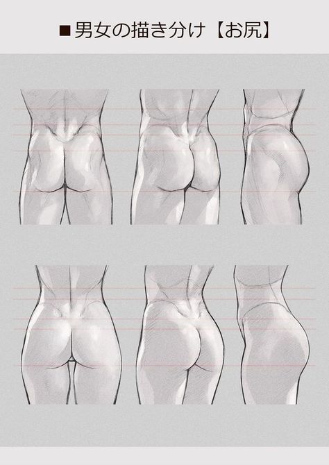 Male Anatomy Drawing Tutorials, Lighting Reference, Anatomy Studies, Anatomy References, Anatomy Tutorial, Human Anatomy Drawing, Body Drawing Tutorial, Human Anatomy Art, Anatomy Sketches