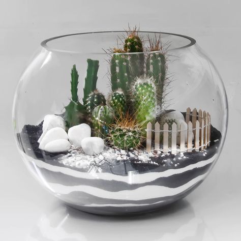 Terrarium Glass Sphere | carlos-marin-designer Open Terrarium Ideas, Plant Ideas Indoor, Fairy Garden Indoor, Sphere Terrarium, Glass Jar Diy, Preserved Roses Arrangement, Glass Bowl Terrarium, Indoor Plant Ideas, Terrarium Design