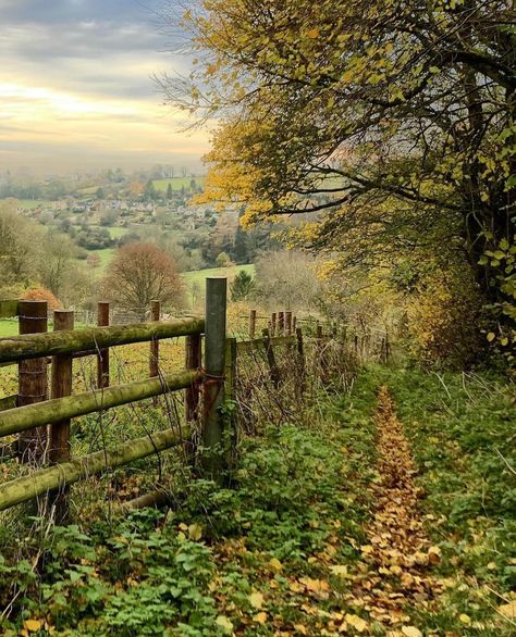 English countrysides (@englishcountrysides) • Instagram photos and videos Genius Loci, Romantic Garden, The Cotswolds, English Style, English Countryside, Where The Heart Is, Landscape Photos, Country Life, Country Living