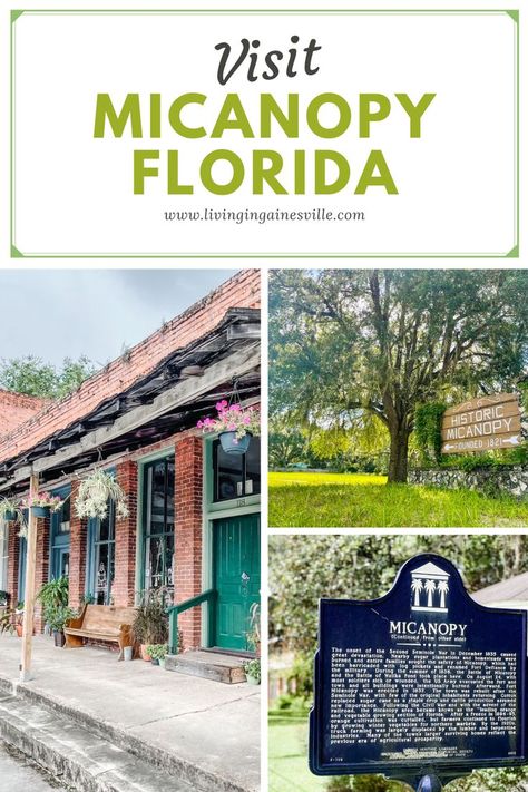 Micanopy Florida, Florida State Parks, Gainesville Florida, Map Of Florida, Home Search, Going Home, Weekend Trips, Vacation Trips, Small Towns