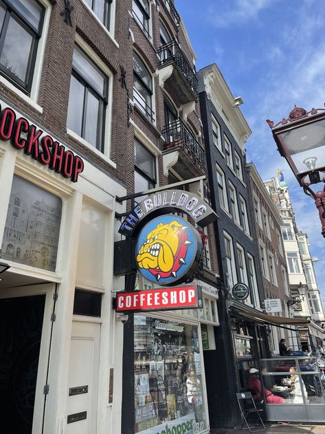 The #Bulldog #Amsterdam #coffeeshop #citytour #marishkaguide The Bulldog Amsterdam, 3 Days In Amsterdam, Board Inspiration, Vision Board Inspiration, Coffee Shop, Amsterdam, Times Square, Bulldog, Vision Board