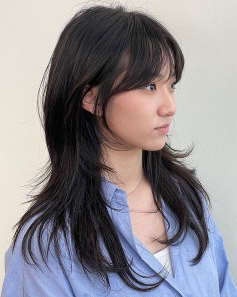 Middle Curtain Bangs, Curtain Bangs Jellyfish Haircut, Layer Hair Bangs, Haircut Ideas No Bangs, Medium Hush Cut With Bangs, Layer Haircut Long Hair, Hush Cut Hair Medium With Bangs, Asian Haircut Long Layers Straight Hair, Hush Cut With Wispy Bangs