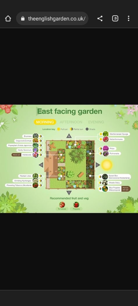 East Facing Garden Ideas, East Facing Garden Design, East Facing Garden, Hardy Geranium, Climbing Hydrangea, Garden Design Layout, Blue Poppy, Sweet Box, Fruit And Veg