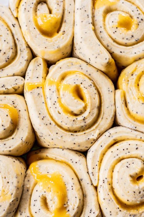 Sweet Lemon Poppy Seed Rolls #yeast #lemon #poppyseed #roll #lemoncurd #baking #creamcheese #breakfast #breakfastrecipe | Baking with Butter Poppyseed Roll, Poppy Seed Rolls, Lemon Poppyseed Bread, Lemon Cream Cheese Frosting, Lemon Cream Cheese, Lemon Poppy Seed, Lemon Poppy, Sweet Lemon, Sweet Rolls