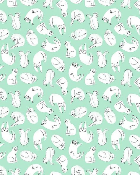 mourningdovestudios: Esther Lara Wallpaper Tumblr, Kitty Wallpaper, White Cats, Pattern Play, Cats Illustration, Pretty Patterns, Cat Wallpaper, Cat Illustration, Pattern Illustration