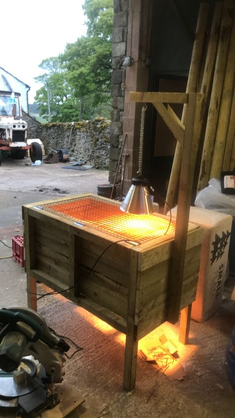 Homemade Brooder - Gallery | BackYard Chickens - Learn How to Raise Chickens Diy Chick Brooder Ideas, Turkey Brooder, Brooder Box Ideas Diy, Brooder Inside Chicken Coop, Chicken Brooders, Inside Chicken Coop, Brooder Box, Chicken Brooder, Diy Counter