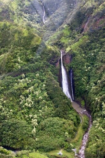 Isla Nublar Isla Nublar Aesthetic, Isla Nublar, Fallen Kingdom, Movie Ideas, Jurassic World Fallen Kingdom, Falling Kingdoms, Jurassic World, Jurassic Park, Water