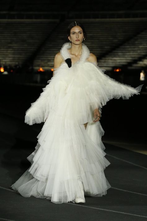 Bjork Swan Dress, Vestidos Oscar, Swan Dress, Dior Dress, Cruise Collection, Oscar Dresses, Dior Designer, Maria Grazia Chiuri, Marlene Dietrich