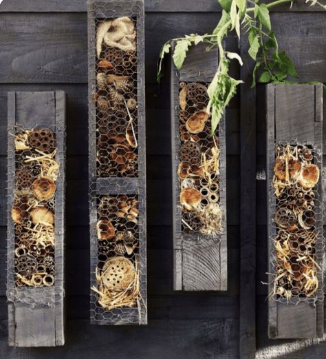 Wildlife Garden Ideas, Bee Hotels, Bee Hotel, Bug Hotel, Insect Hotel, Wildlife Garden, Garden Bugs, Bee Hives, Bee Garden