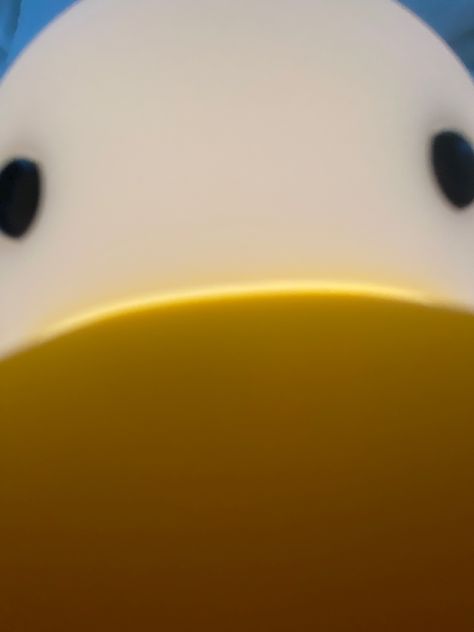 Bennison Wallpaper, Your Not Cool How About Now Benson, Benson The Duck, Duck Chromebook Wallpaper, Benson Duck, Cute Yellow Duck Wallpaper, Chaotic Energy, Funny Duck, The Duck