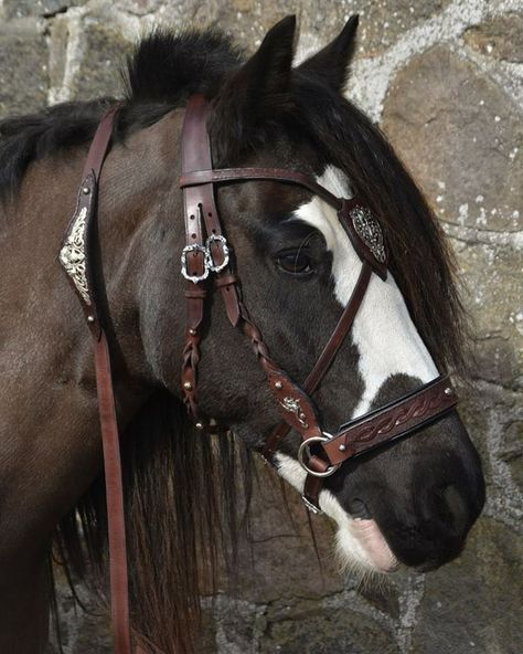 Leather Horse Tack, Medieval Horse, Bitless Bridle, Horse Costumes, Horse Armor, Horse Bridle, Horse Equipment, Horse Gear, Most Beautiful Horses