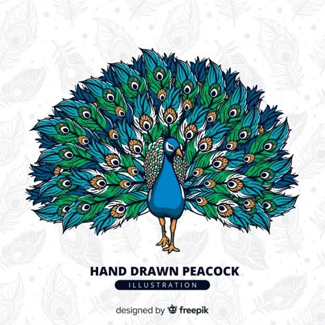 Beautiful peacock in hand drawn style Free Vector |  #Freepik #freevector #hand #bird #animal #hand-drawn Peacock Drawing, Peacock Tattoo, Peacock Pictures, Design Art Nouveau, Peacock Wall Art, Peacock Painting, Beautiful Peacock, Peacock Art, Peacock Design