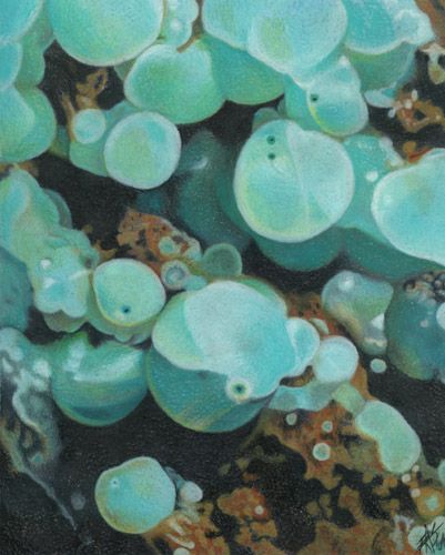 . Teal Color Aesthetic, Brown And Aqua, Matilda Core, Aqua Aesthetic, Brown Widget, Jewelry Wallpaper, Grayed Jade, Underwater Sea Life, Teal Aesthetic