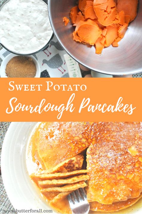 Make these flavorful, healthy sweet potato sourdough pancakes for any special occasion! Potato Dessert Recipes, Sweet Potato Sourdough, Healthy Sweet Potatoes, Sweet Potato Dessert Recipes, Sweet Potato Dessert, Healthy Sweet Potato, Sweet Potato Waffles, Sourdough Pancakes, Sweet Potato Pancakes