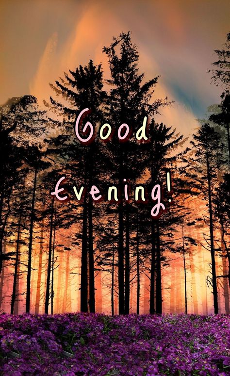 Good Evening Messages, Evening Pictures, Evening Quotes, Evening Greetings, Hd Quotes, Good Morning Images Flowers, Love Quotes Wallpaper, Good Night Sweet Dreams, Morning Greetings