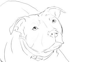 Pitbull Art Drawing, Pitbull Sketch, Dog Art Projects, Pitbull Silhouette, Dog Sketches, Yoda Drawing, American Staff, 30 Day Drawing Challenge, Dog Drawings