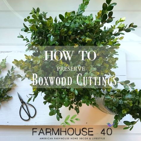 How To Preserve Boxwood cuttings to make your own wreaths. Details on the blog Patio Christmas Decor, Boxwood Landscaping, Balcony Makeover, Preserved Boxwood Wreath, Box Wood Shrub, Make Your Own Wreath, Preserved Boxwood, Boxwood Wreath, Front Landscaping