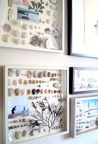 Shell Display, Vacation Memories, Craft Rooms, Seashell Art, Beach Crafts, Seashell Crafts, Shell Art, Shell Crafts, Shadow Boxes