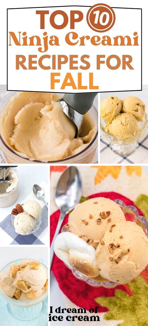 Ninja Creami Pumpkin Ice Cream Recipes, Apple Cider Ice Cream Ninja Creami, Pumpkin Spice Ice Cream Ninja Creami, Fall Ninja Creami, Apple Pie Ninja Creami, Whole 30 Ninja Creami, Pumpkin Ninja Creami Recipe, Ninja Creami Apple Pie Ice Cream, Pumpkin Ninja Creami