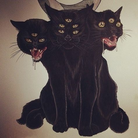 3 headed cat. Kitty Tattoos, Evil Cat, Creepy Cat, Black Cat Art, Art Ancien, Desenho Tattoo, Creepy Art, Arte Animal, Cat Tattoo